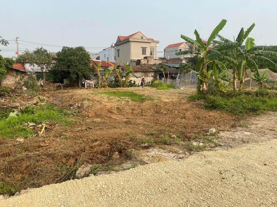 Đất đấu giá Giáp Nhất, Bạch Thượng, Duy Tiên 126m² giá 1 tỷ - Đầu tư sinh lời ngay!