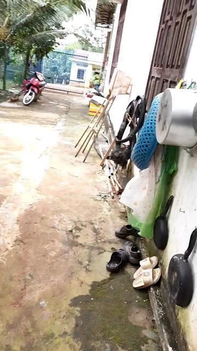 Đất nền 900m² tại Ia Me, Chư Prông - Giá chỉ 550 triệu, kinh doanh thuận lợi!