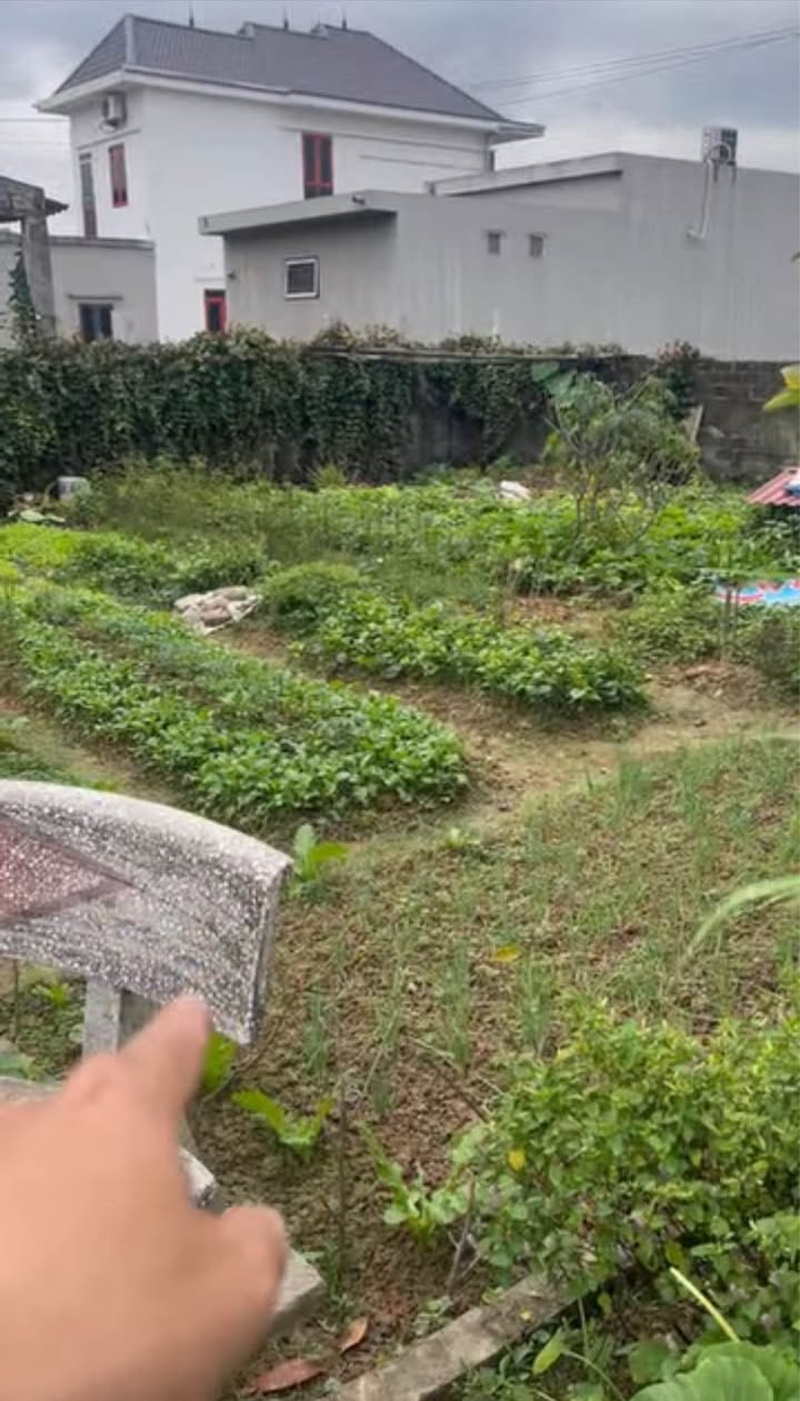 Đất nền khu phố Nhất Trí, An Dương 64m² giá 1.3 tỷ - Cơ hội đầu tư hấp dẫn!