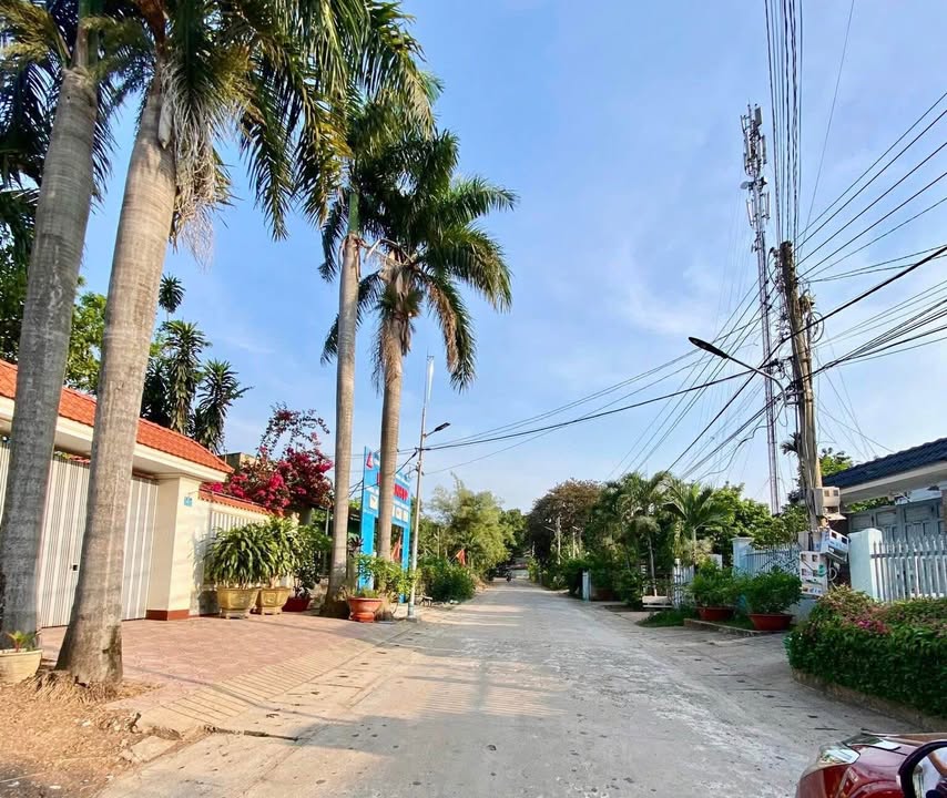 Đất thổ cư hẻm 113 Lý Thường Kiệt, Tân Phú 50m² giá 1.6 tỷ - Cơ hội đầu tư tuyệt vời!