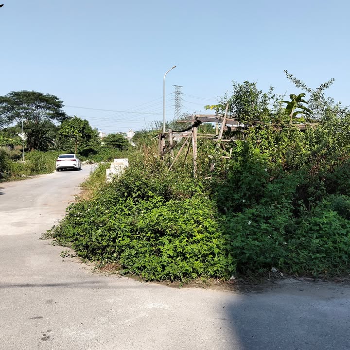 Đất phân lô Trịnh Văn Bô, 71m² giá 16 tỷ - Cơ hội đầu tư vàng!