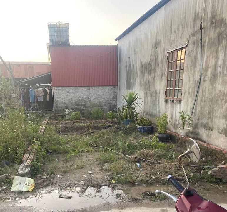 Đất phân lô Kim Sơn, Gia Lâm 45m² giá 2 tỷ - Ô tô đỗ cửa, tiện ích đầy đủ!