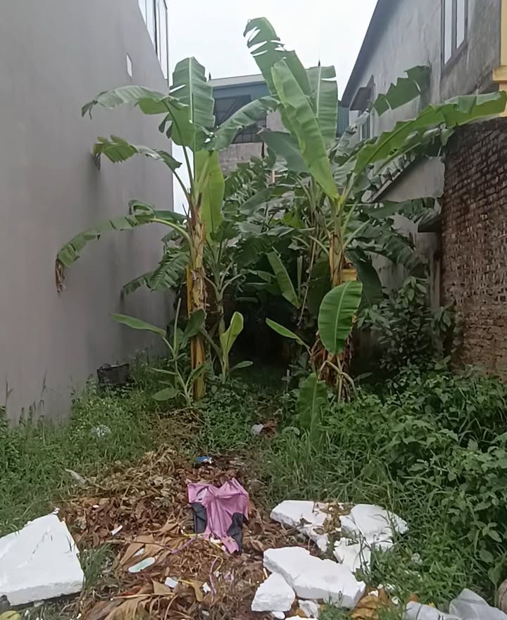 Đất nền khu phố Tam Á, Gia Đông, 68m² giá 2.1 tỷ - Cơ hội đầu tư tuyệt vời!