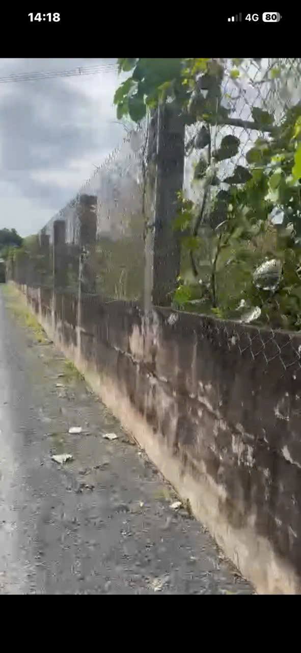 Đất nền xã Trung An, Củ Chi 300m² giá chỉ 600 triệu - Cơ hội đầu tư sinh lời!