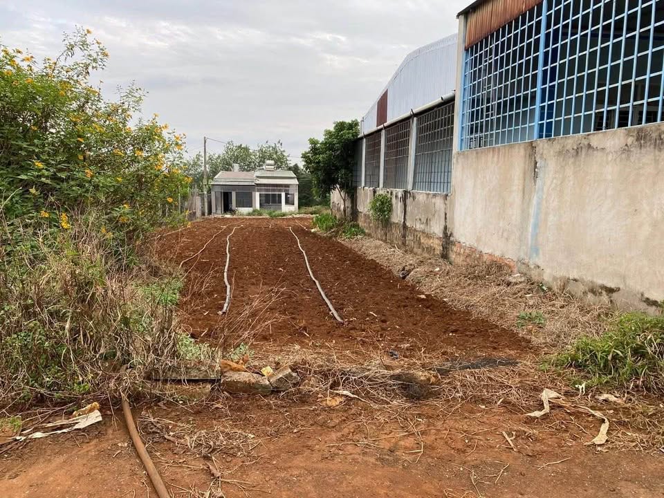 Đất thổ cư Hẻm 240 Nguyễn Chí Thanh 135m² giá 600 triệu - Sổ đỏ chính chủ!