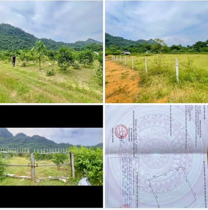 Đất nền Thung Nai, Cao Phong 8000m² chỉ 200 triệu - Cơ hội đầu tư hiếm có!