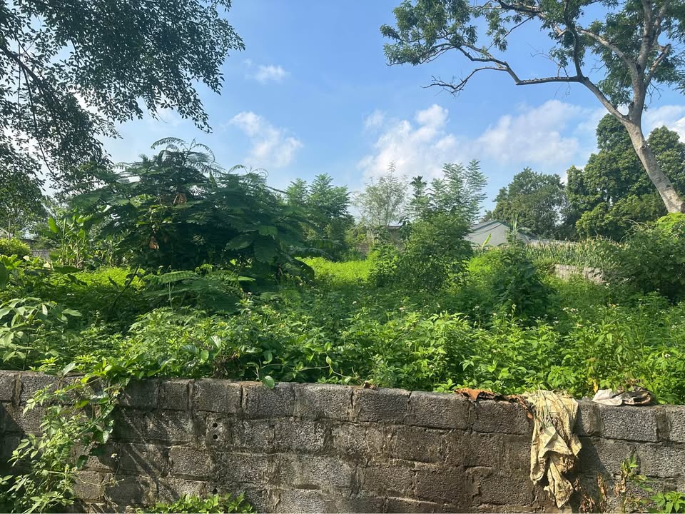 Đất thổ cư 100m² tại Thôn Đồng Tranh, Lương Sơn, 716m² - Giá chỉ 5 tỷ!