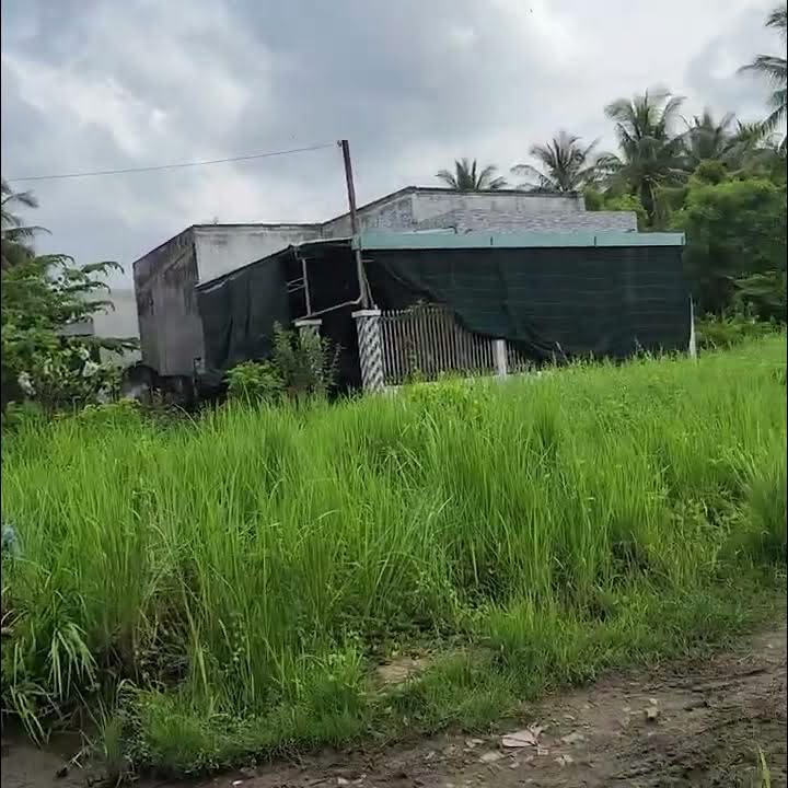 Đất nền 90m² giá chỉ 430 triệu tại Phú Khương, Bến Tre - Cơ hội đầu tư tuyệt vời!