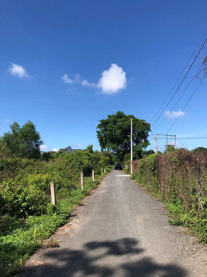 Đất thổ cư Hồ Thị Bưng, Củ Chi 116m² giá 2.35 tỷ - Cơ hội đầu tư tuyệt vời!