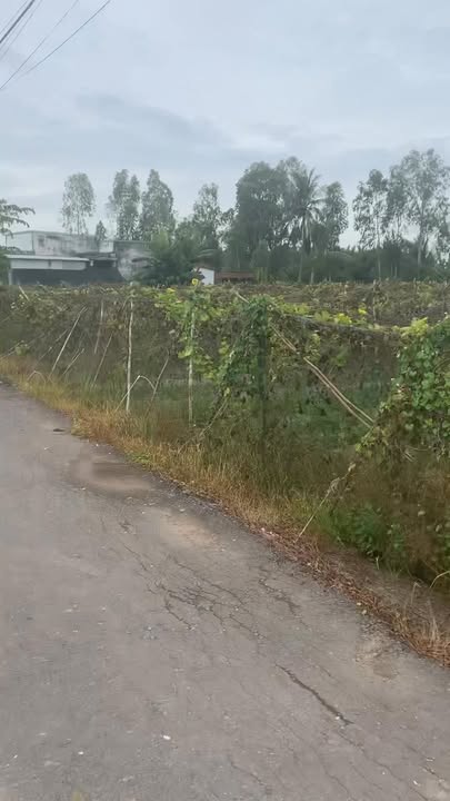 Đất nền mặt tiền Nguyễn Trọng Hợp, Thủ Đức 10.000m² giá 18 tỷ - Cơ hội đầu tư sinh lợi!