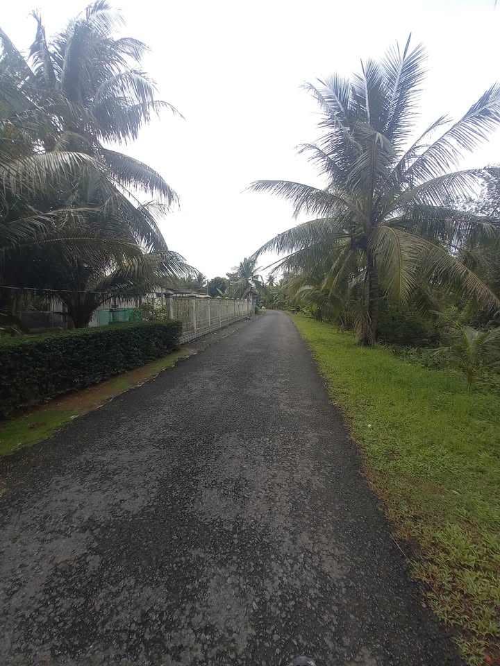 Đất nền Trà Côn Vĩnh Long 140m² giá chỉ 290 triệu - Cơ hội đầu tư hấp dẫn!