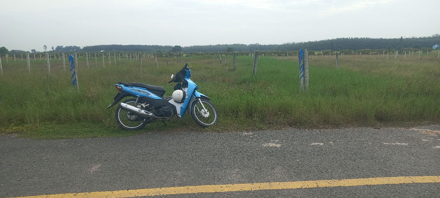 Đất nền ấp Thanh Thuận, huyện Châu Thành, Tây Ninh 1500m² - Giá chỉ 110 triệu