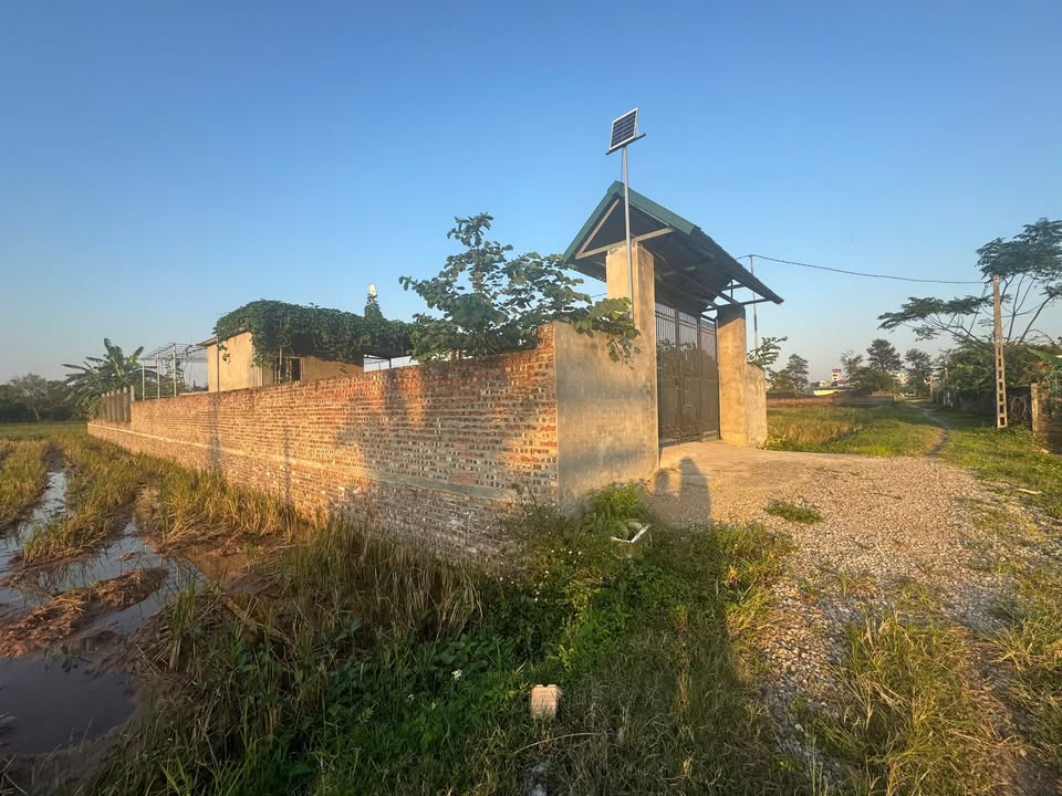 Đất chuyển đổi xã Quảng Bị 1372m² - Cơ hội đầu tư hấp dẫn!