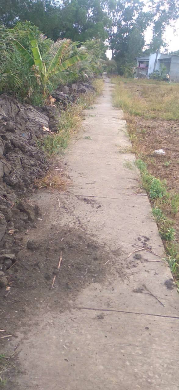 Đất nền Trí Lực Thới Bình 10.500m² giá 120 triệu - Mặt tiền vuông vức, giao thông thuận lợi!