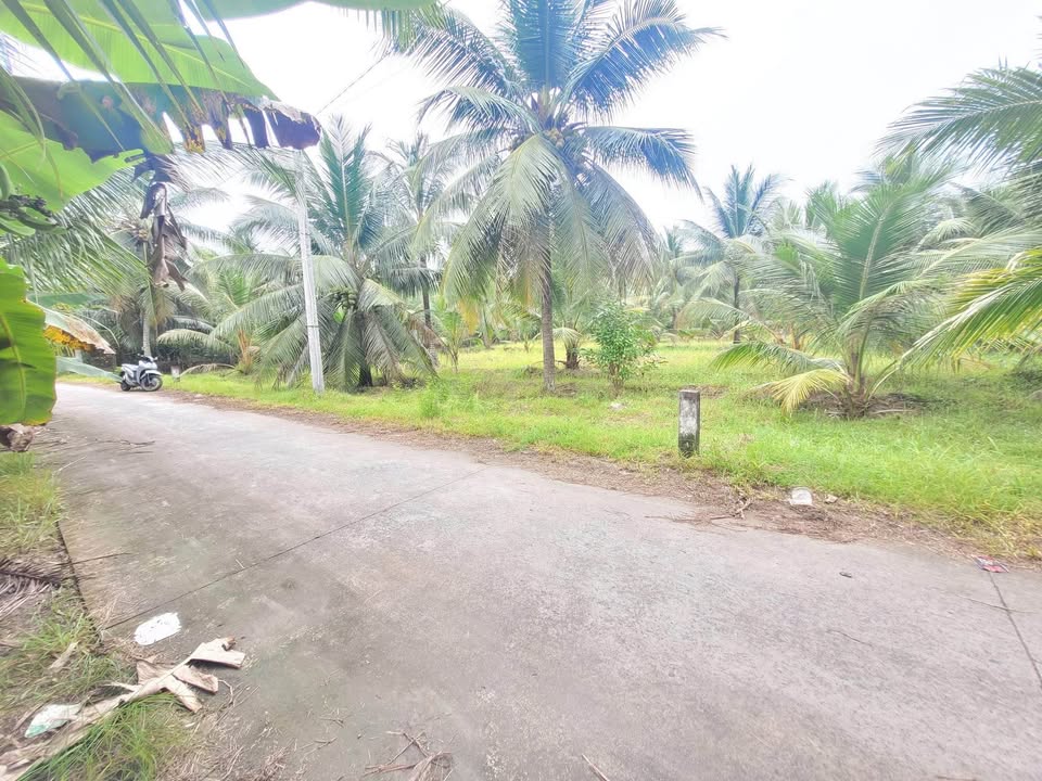 Đất đẹp Bến Tre 2000m² giá 3.6 tỷ - Vị trí đắc địa, sổ hồng chính chủ!