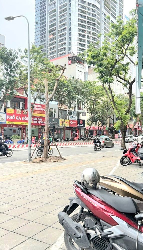 Nhà mặt phố Trần Đăng Ninh, Cầu Giấy 40m² giá 24.2 tỷ - Sổ vuông vắn, vỉa hè đá bóng