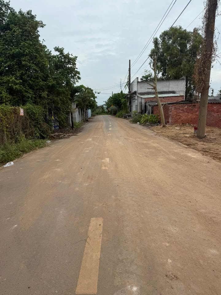 Đất nền mặt tiền nhựa Phước Hội, Đất Đỏ - Diện tích 390m², giá từ 2.4 tỷ!