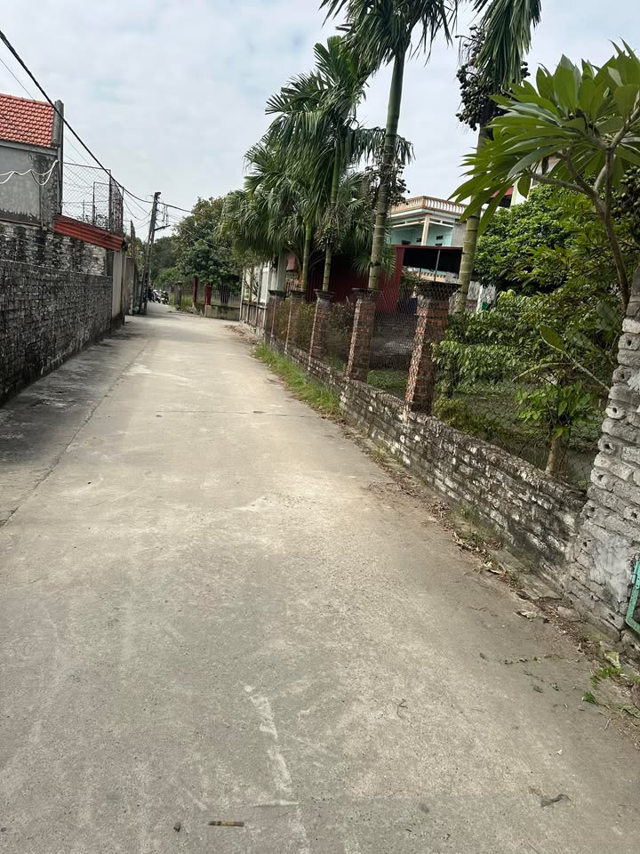 Đất nền Lâm Ý Yên 90m² giá 1.35 tỷ - Cơ hội đầu tư tuyệt vời!