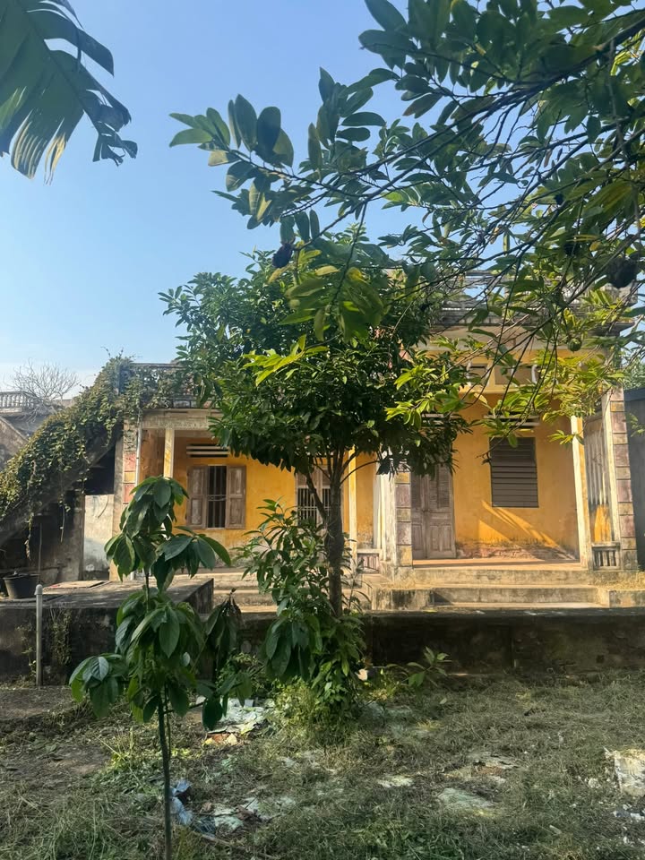 Nhà cấp 4 Mỹ Hà, 236m² giá 7 tỷ - Đất vuông vắn, chính chủ bán!