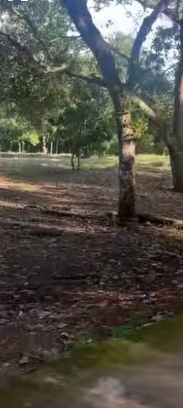 Đất Farm 2 mặt tiền Bình Thắng 40000m² giá 1.5 tỷ - Đầu tư sinh lời ngay!