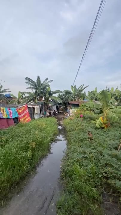 Đất nền Tân Vĩnh Lộc 50m² giá 350 triệu - Mặt tiền đẹp, khu dân cư sầm uất!