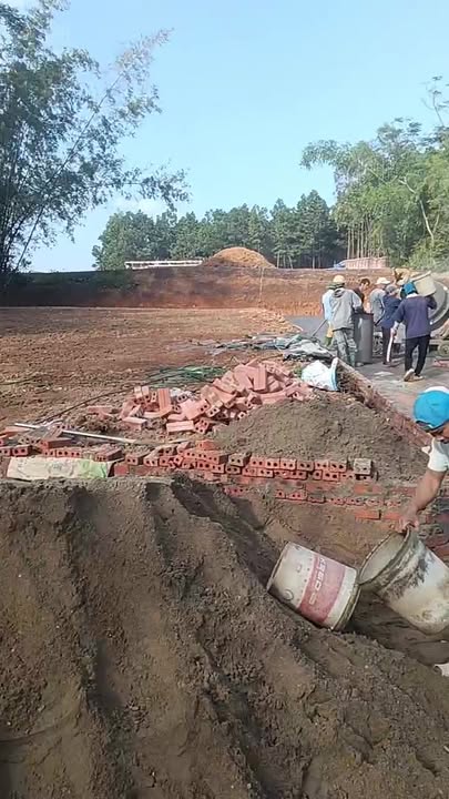 Đất nền tại khu 15 Lam Sơn, Tam Nông - Diện tích từ 100m², giá chỉ từ 200 triệu!