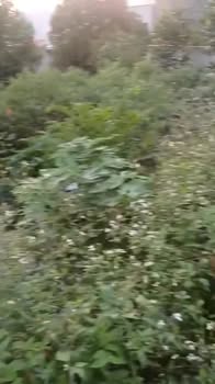 Đất thổ cư 309m² thôn 9 Đông Sơn, Tam Điệp - Giá chỉ 1 tỷ VND!