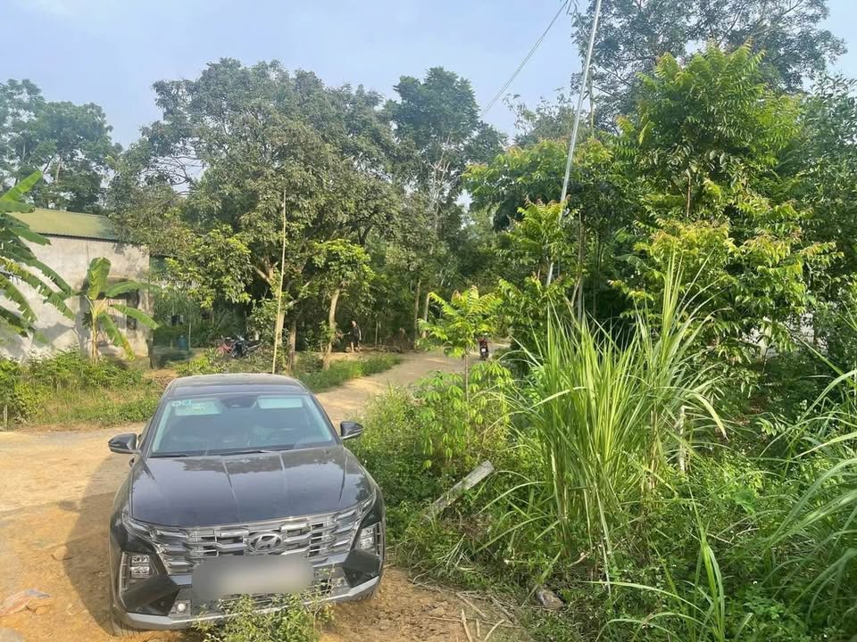 Đất thổ cư Lạc Lương Yên Thủy 1000m² giá 700 triệu - Lô góc 2 mặt tiền hiếm có!