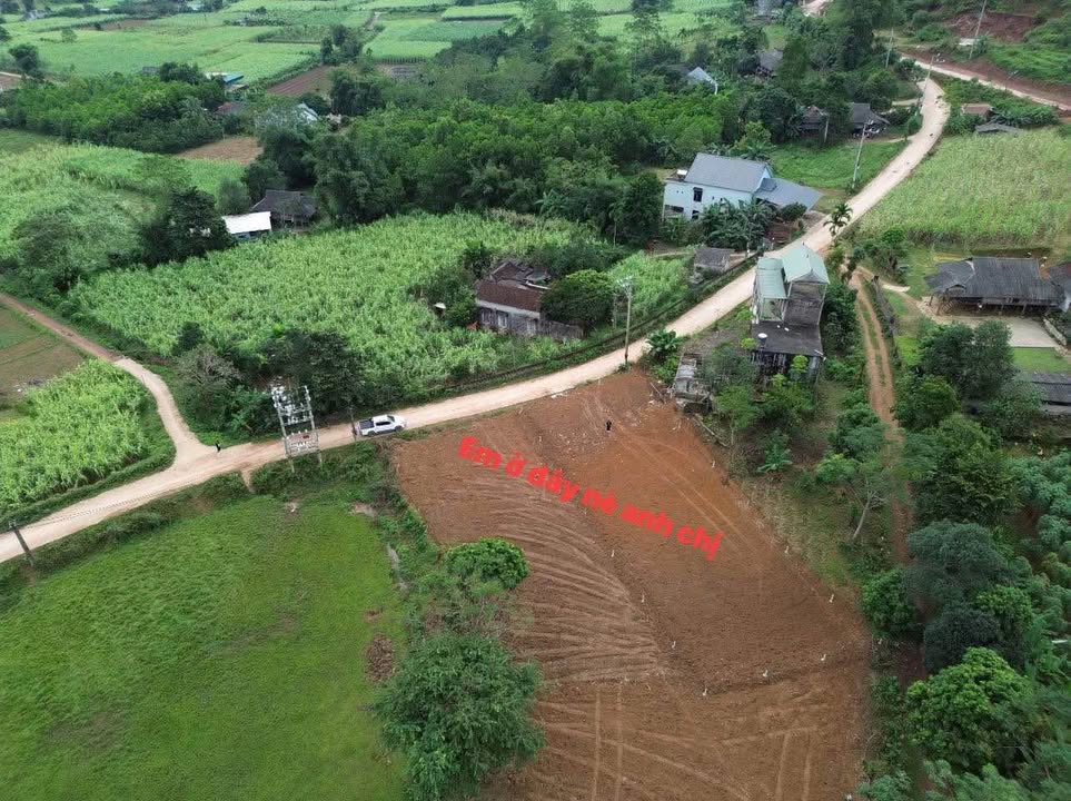 Đất Mỹ Hòa, Tân Lạc, Hòa Bình 665m² - Đầu tư sinh lời với giá chỉ 500 triệu!