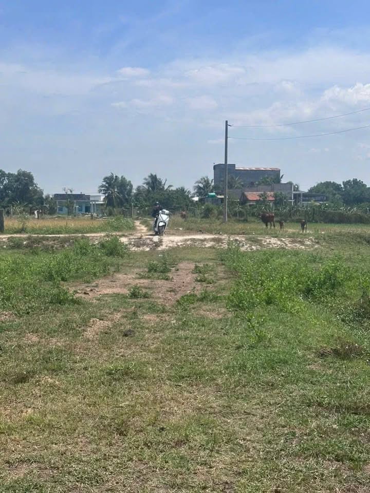 Đất cây trồng Hàm Chính 1 sào giá 480 triệu - Ô tô tận nơi, đầu tư lý tưởng!