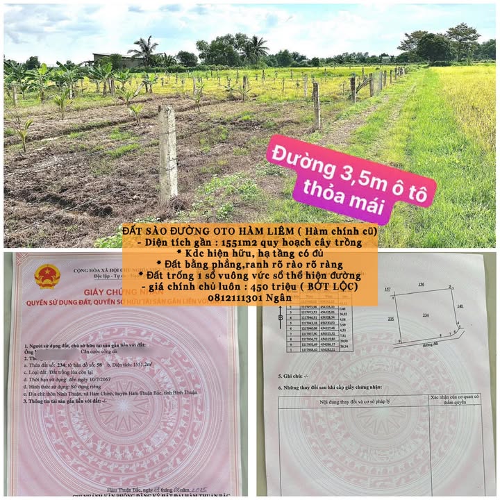 Đất sào đường nhựa Hàm Liêm 1551m² giá 450 triệu - Ô tô tới nơi!