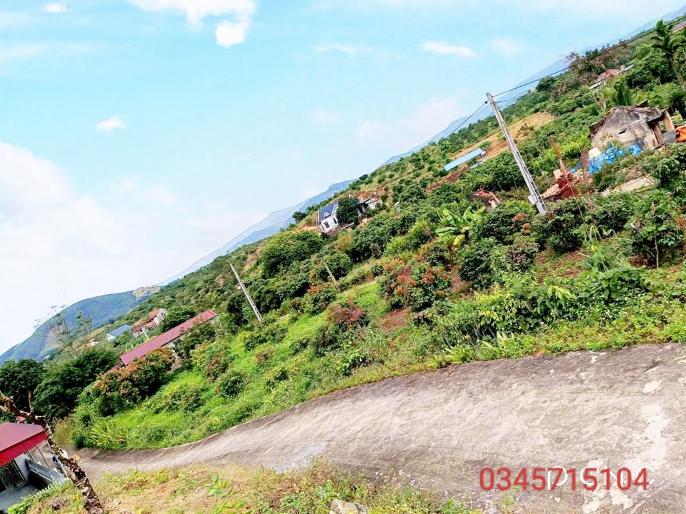 Đất thổ cư Bình Sơn Lục Nam 1460m² giá 1.3 tỷ - Đầu tư sinh lời tuyệt vời!