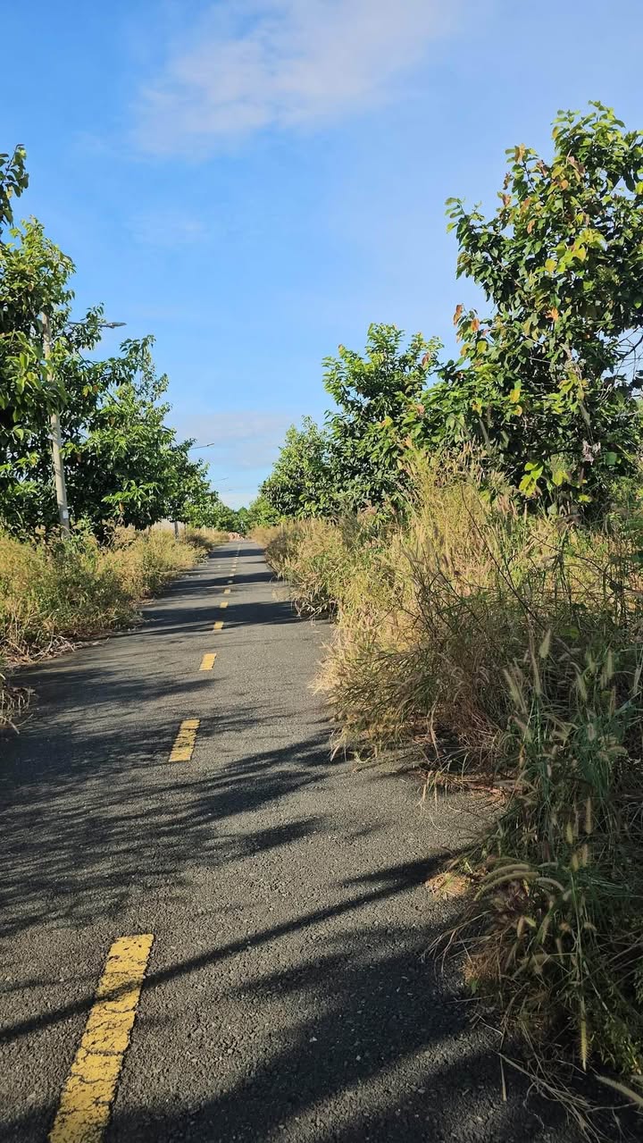 Đất nền Tân Phú Đồng Phú 85m² giá 500 triệu - Gần khu công nghiệp Bắc Đồng Phú!