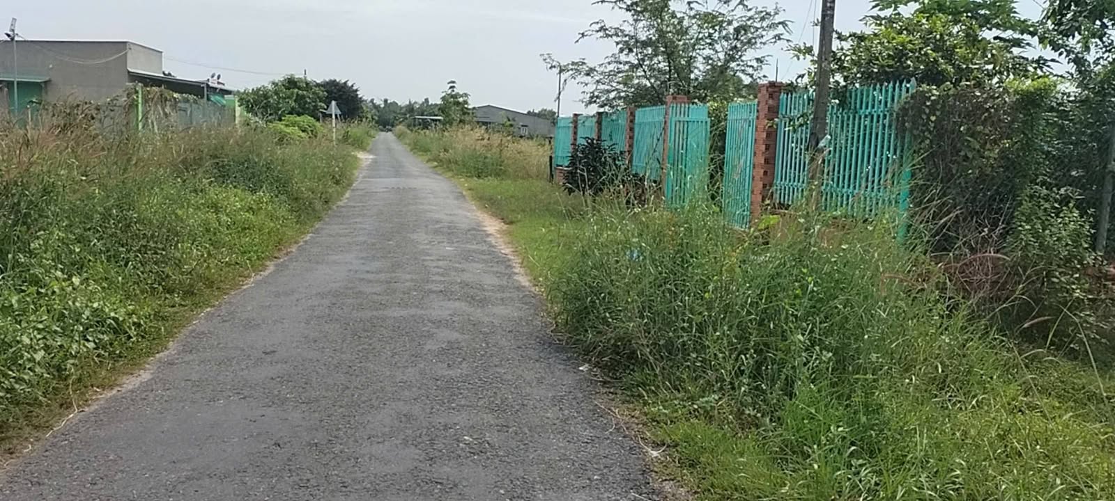 Bán gấp nhà vườn tại Phước Bình, Gò Dầu - 1220m² chỉ 1.9 tỷ!