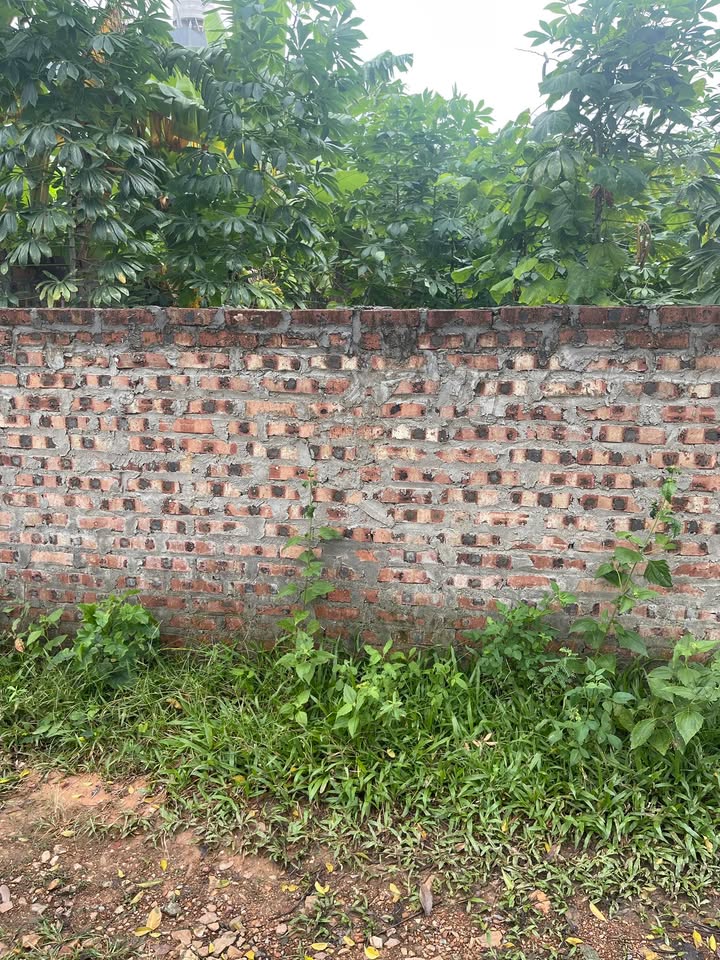 Đất nền chính chủ tại Xuân Hòa, Phúc Yên 100m² giá chỉ 1.9 tỷ - Sổ đỏ đầy đủ!