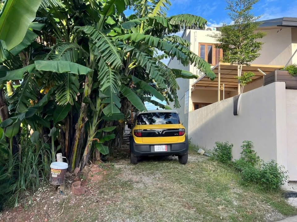 Đất Chánh Nghĩa Thủ Dầu Một 93m² giá 1.39 tỷ - Đầu tư sinh lời ngay!