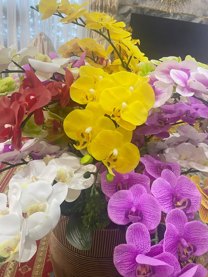 Đất mặt tiền đường số An Lạc, Bình Tân 72m² giá 5.6 tỷ - Sổ riêng, chốt cứng!