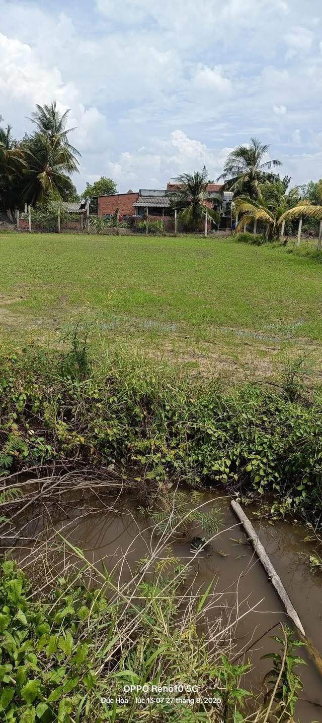 Đất lúa 1000m² xã Đức Hòa Thượng giá 1.1 tỷ - Sổ đỏ chính chủ