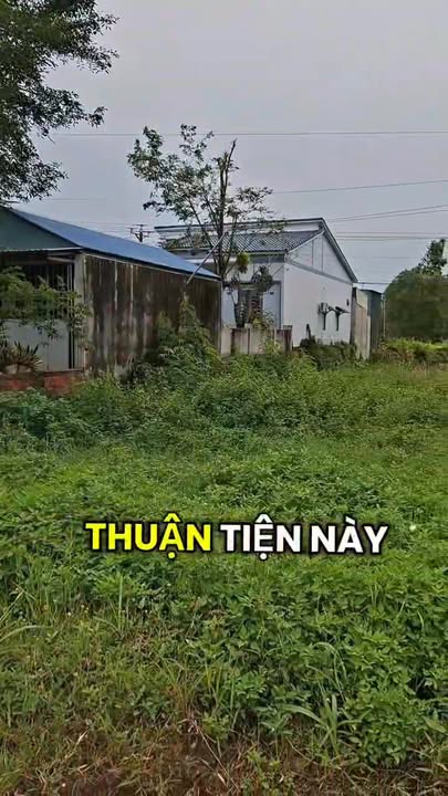 Đất nền Tân Lập, Hàm Thuận Nam 1118m² giá 268.32 triệu - Phù hợp làm kho xưởng!