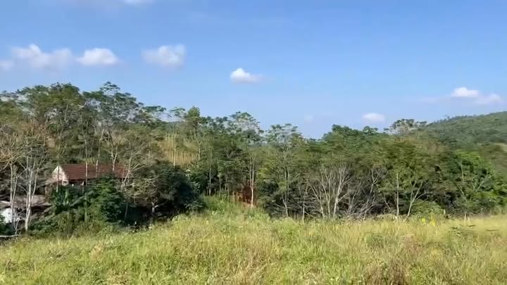 Đất thổ cư Đào Xá, Thanh Thủy 1020m² giá 800 triệu - Đầu tư tiềm năng!