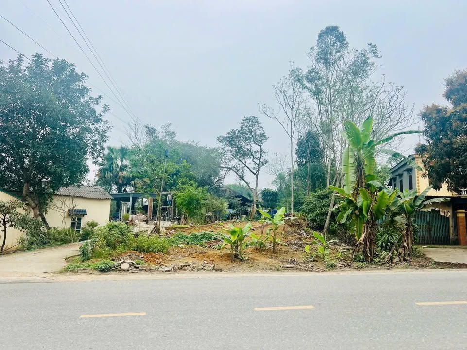 Đất nền khu phố 3, Phú Hộ 80m² giá 1.8 tỷ - Cơ hội đầu tư hấp dẫn!