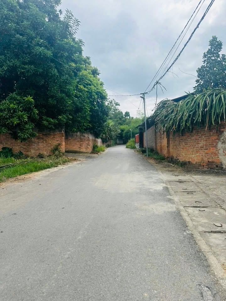 Đất nền thôn Yên Sơn, xã Hướng Đạo, huyện Tam Dương 133m² giá chỉ 1.1 tỷ - Cơ hội đầu tư sinh lời!