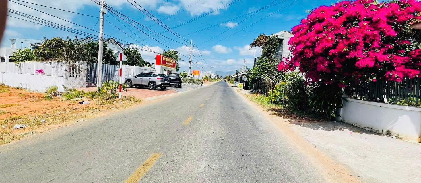 Đất thổ cư 100m² mặt tiền đường nhựa xã Hàm Liêm giá 1.6 tỷ - Đầu tư sinh lời cao!