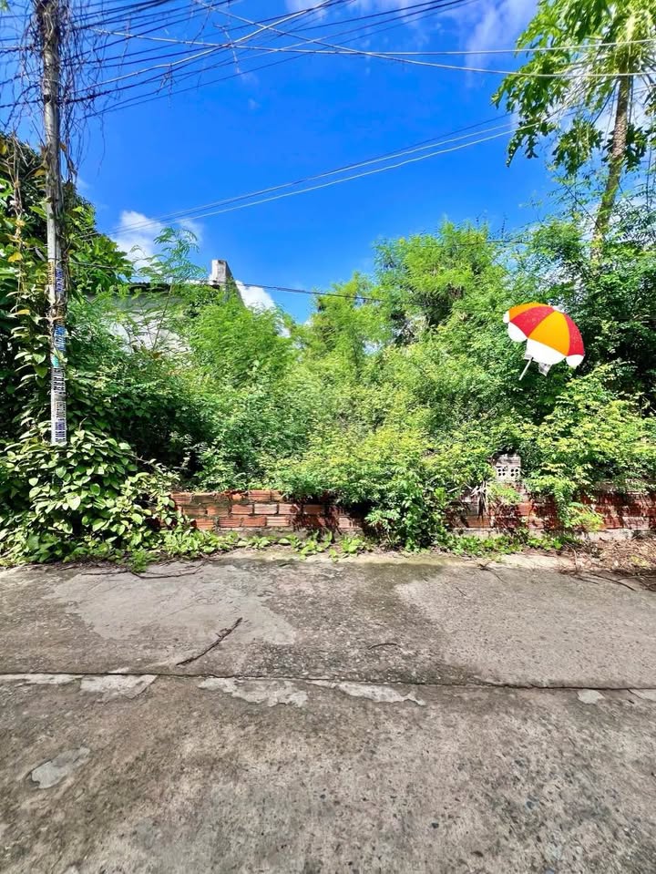 Đất thổ cư 2 mặt tiền Phong Nẫm, Phan Thiết 168m² giá 1.2 tỷ - Pháp lý rõ ràng!