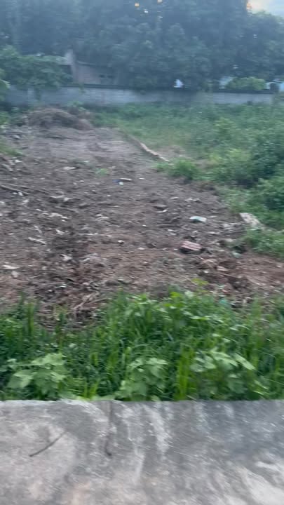 Đất nền chính chủ Thanh Vân Tam Dương 113m² giá chỉ 1.3 tỷ - Pháp lý rõ ràng!