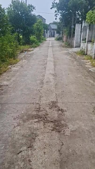 Đất nền Kim Long Tam Dương 362m² giá 2.9 tỷ - Mặt tiền 10m, đầu tư sinh lời!