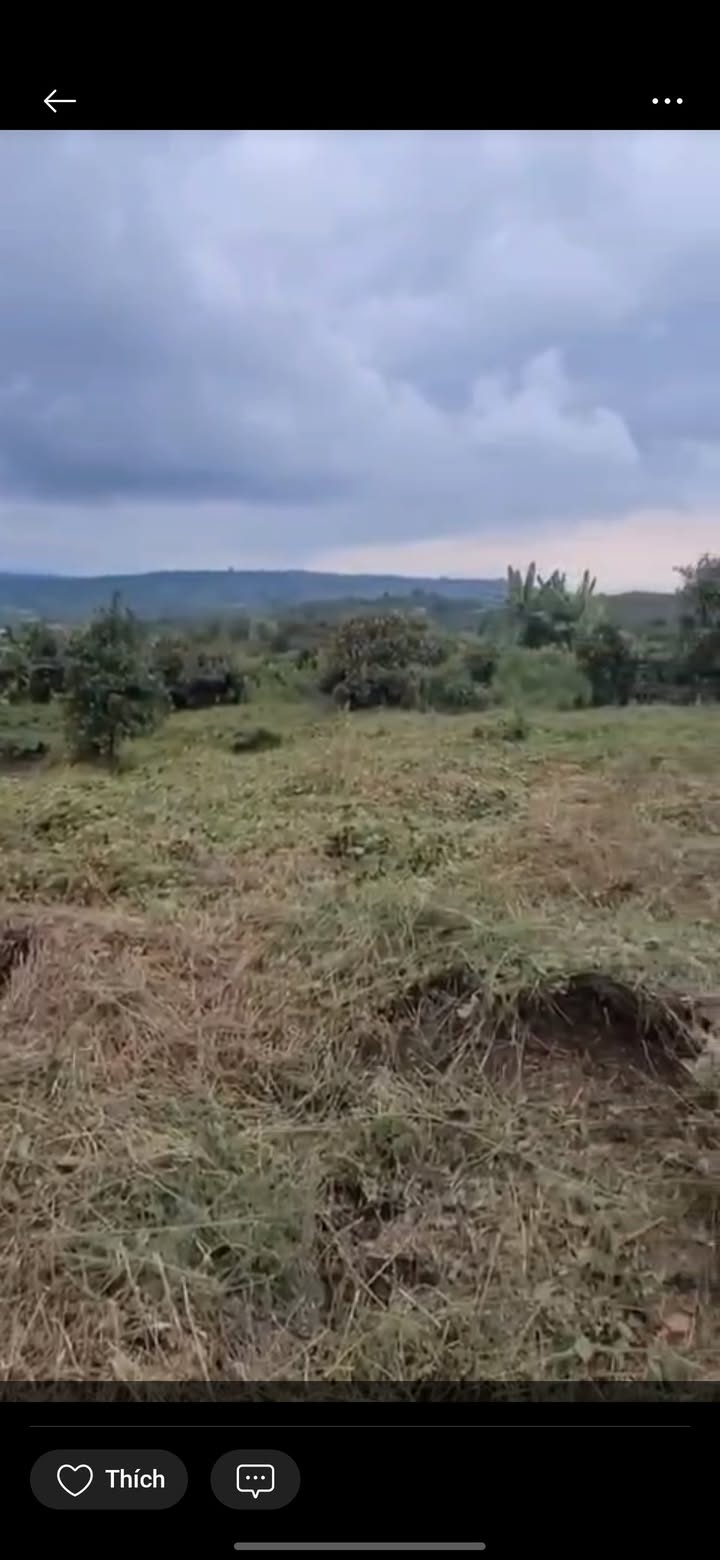 Đất nền 4 sào tại Gia Hiệp, Di Linh, Lâm Đồng giá 950 triệu - Cơ hội đầu tư tuyệt vời!