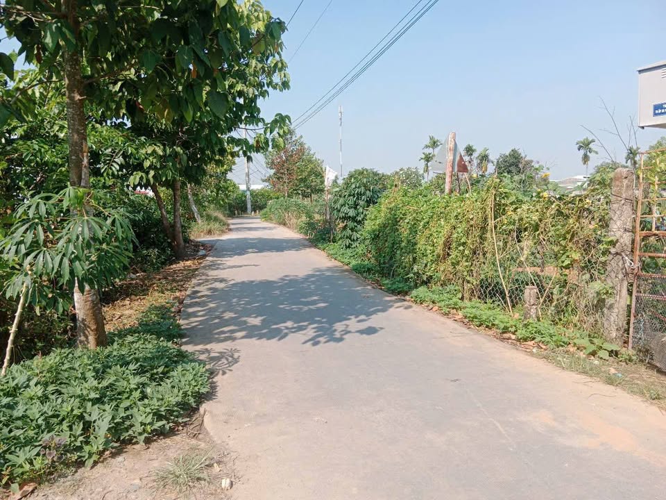 Đất nền Phước Lợi, Bến Lức 150m² giá 1.6 tỷ - Đường xá thuận tiện!