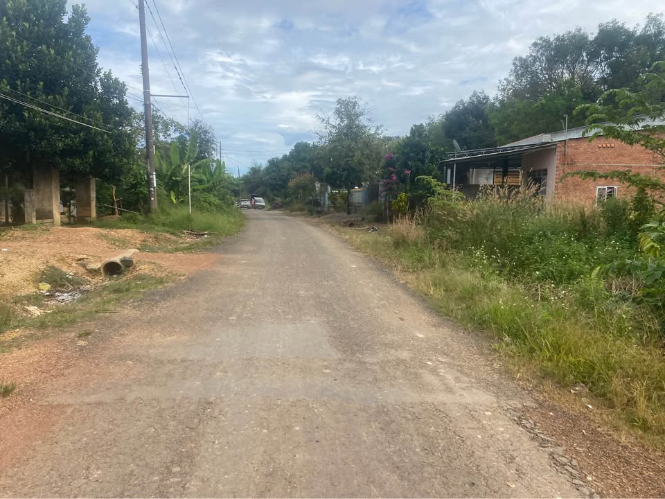 Đất nền 4 sào Đồng Tâm, Bình Phước - Mặt tiền 5m, giá chỉ 9xx triệu!