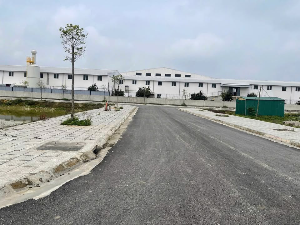 Đất nền góc 2 mặt tiền tại Bãi Tắm Quất Lâm 92m² - Cơ hội đầu tư sinh lời!